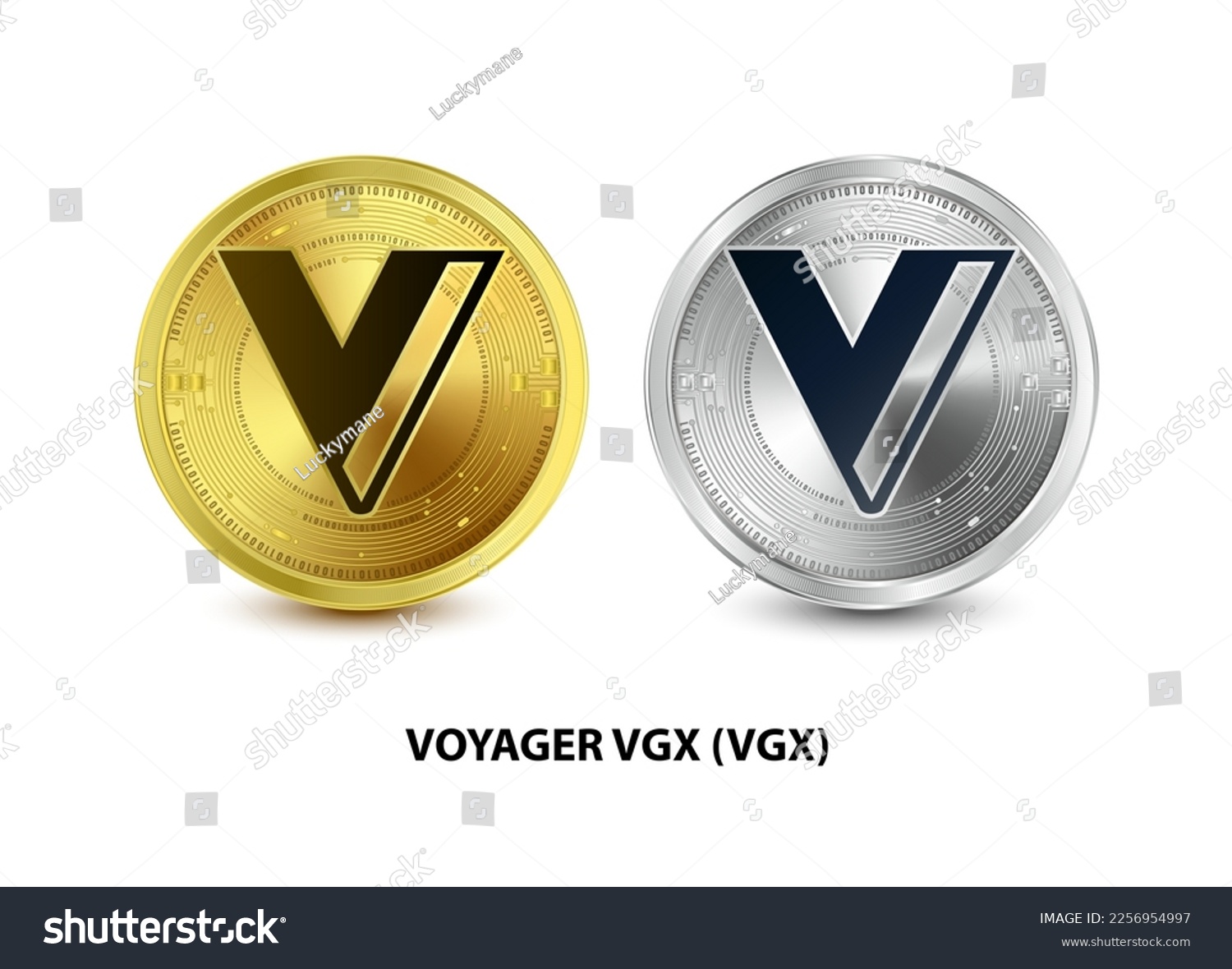 Vi