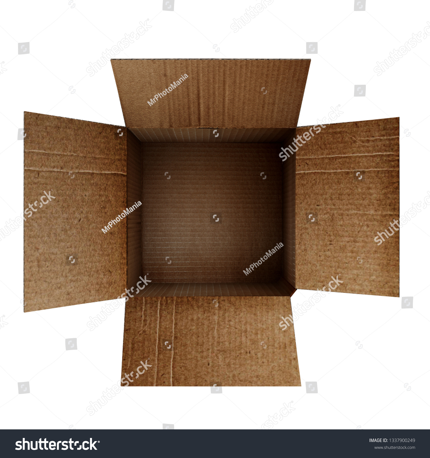 Cá