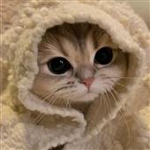 Is