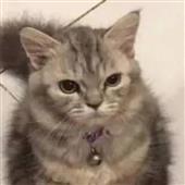 Tr