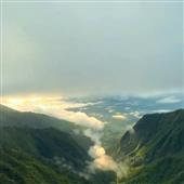 sự