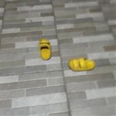 CÁ