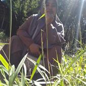 Sự
