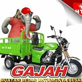 Cá