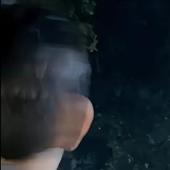 Bi