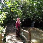 Nụ