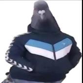 N8
