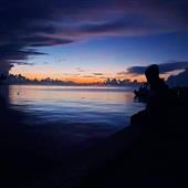 Tự