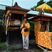 Cử