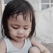 gấ