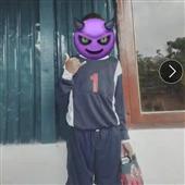 Bi