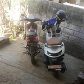 Độ