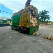 tố