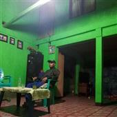 Vị