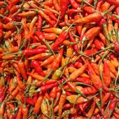 Hộ