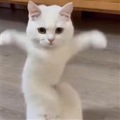 So