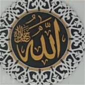 Se