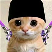 Qu