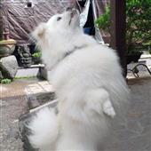 Hộ