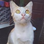 Đạ