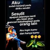 Cu