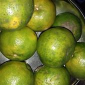 Lễ