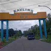 Cá