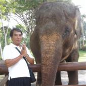 Sự