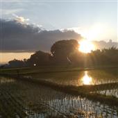 Kế