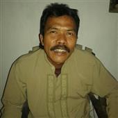Cu