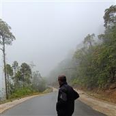 Cờ
