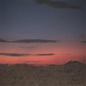 Gi
