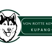 Đu