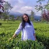 bầ