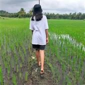 Vậ