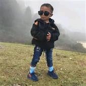 Lu