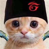Vu