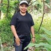 Dự