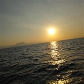 Gà
