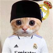 Hả