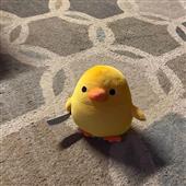 Th