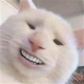 ZE
