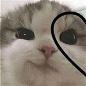Cư