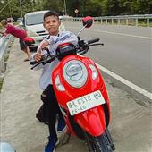 Cử
