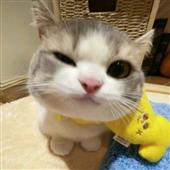 Ng