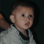 Gi