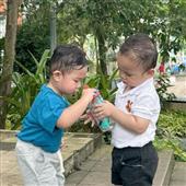 Dự
