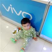 Vu