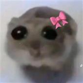 Ch