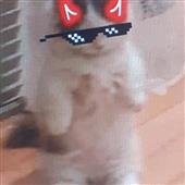 Hầ